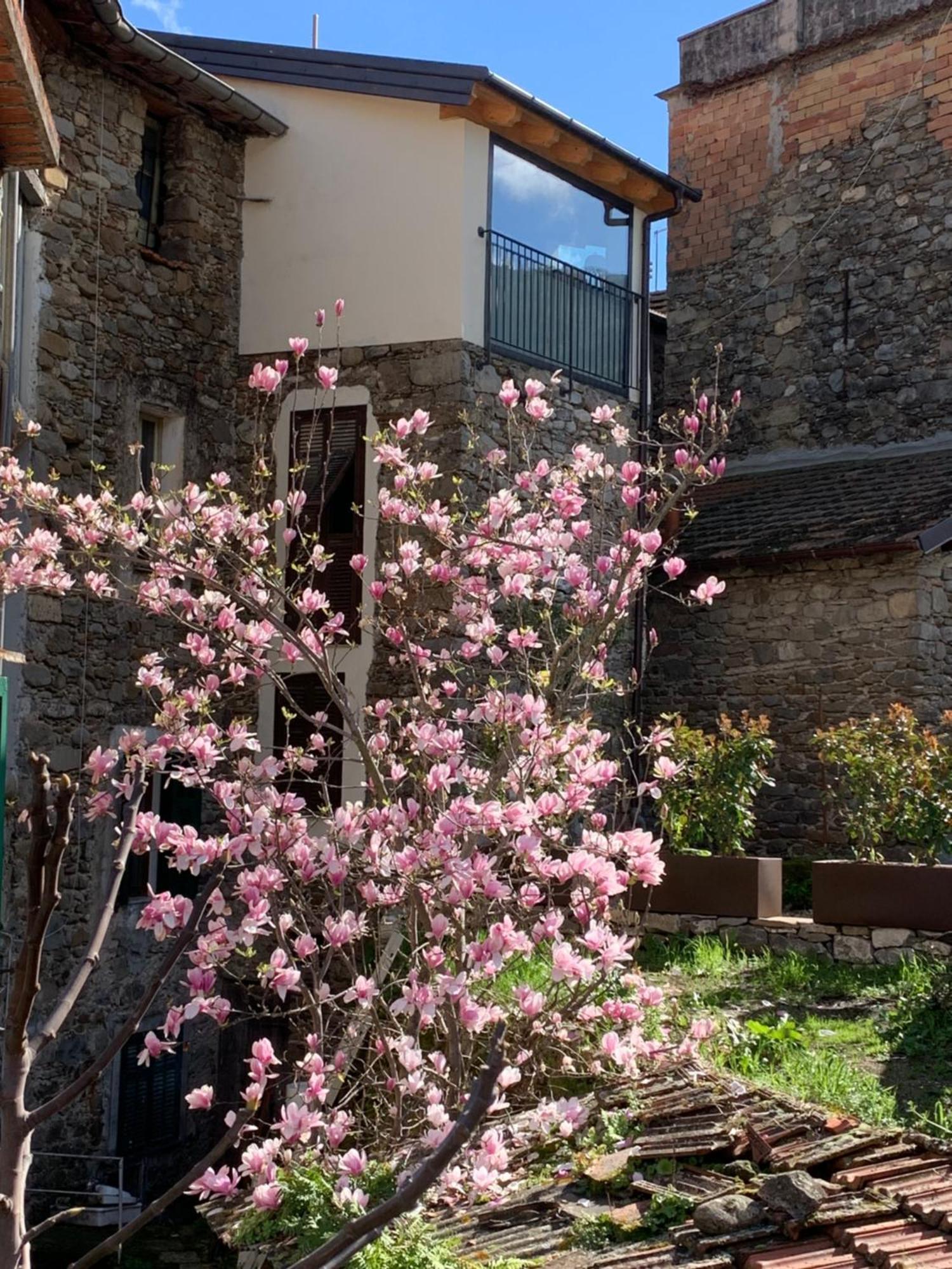 Vicolo Rosso 2 Dolceacqua Exterior foto